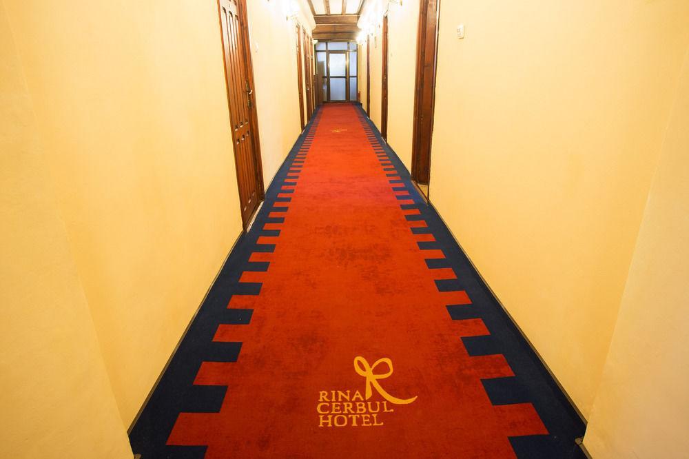 Hotel Rina Cerbul سِنايا المظهر الخارجي الصورة